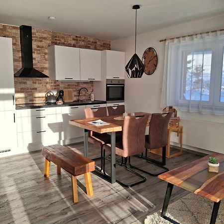 Apartman U Mamuta Dolní Morava エクステリア 写真